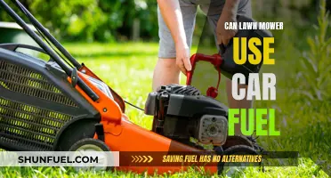 Can You Use Car Fuel in a Lawn Mower?