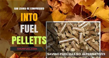 Turning Leaves into Fuel: The Potential of Compressed Pellets