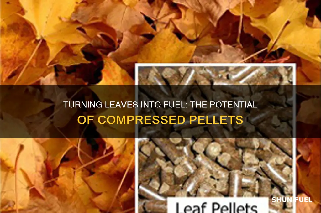 can leaves be compressed into fuel pelletts