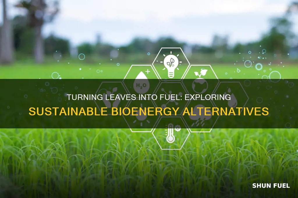 can leaves be made into fuel