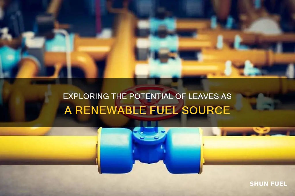 can leaves be used as fuel