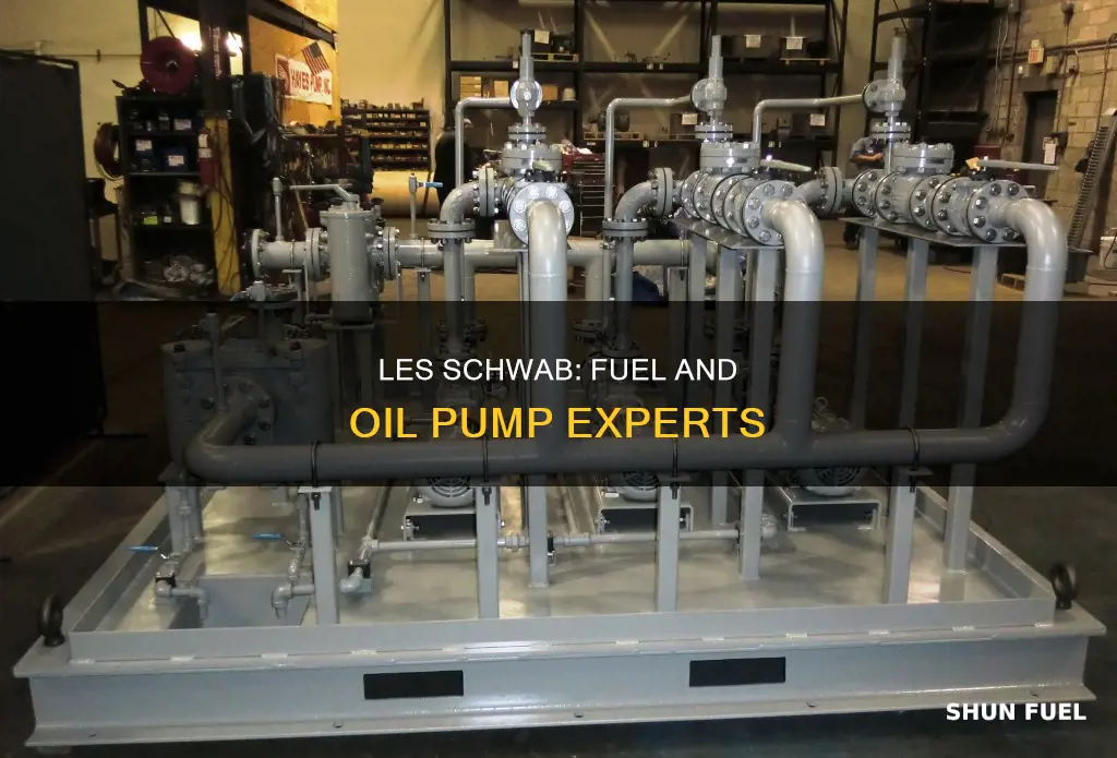 can les scwab change fuel and oil pumps