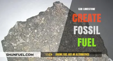 Limestone's Fossil Fuel Formation