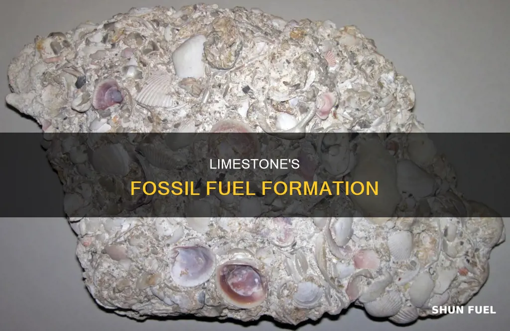 can limestone create fossil fuel