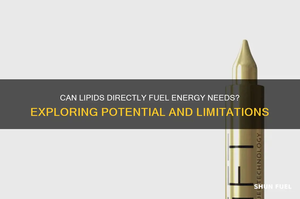 can lipids be directly used as fuel