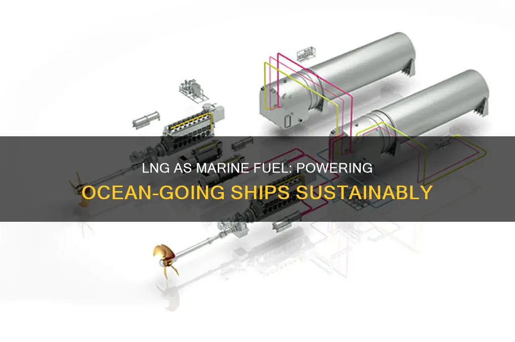 can lng be used as fuel for ocean going ships