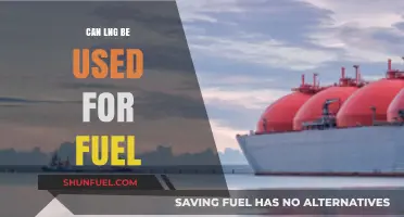 Exploring LNG as a Viable Alternative Fuel Source for the Future