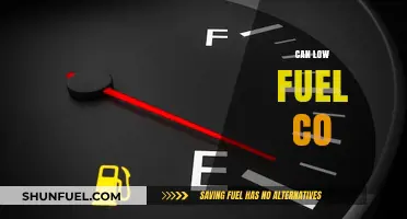 Can Low Fuel Consumption Save You Money and the Environment?