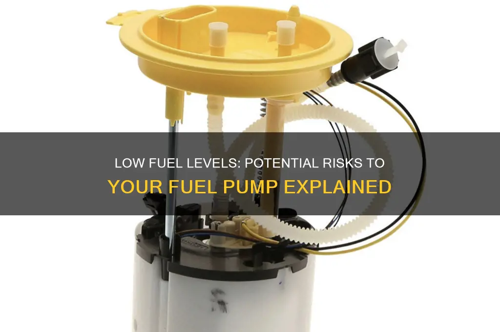 can low fuel damage fuel pump