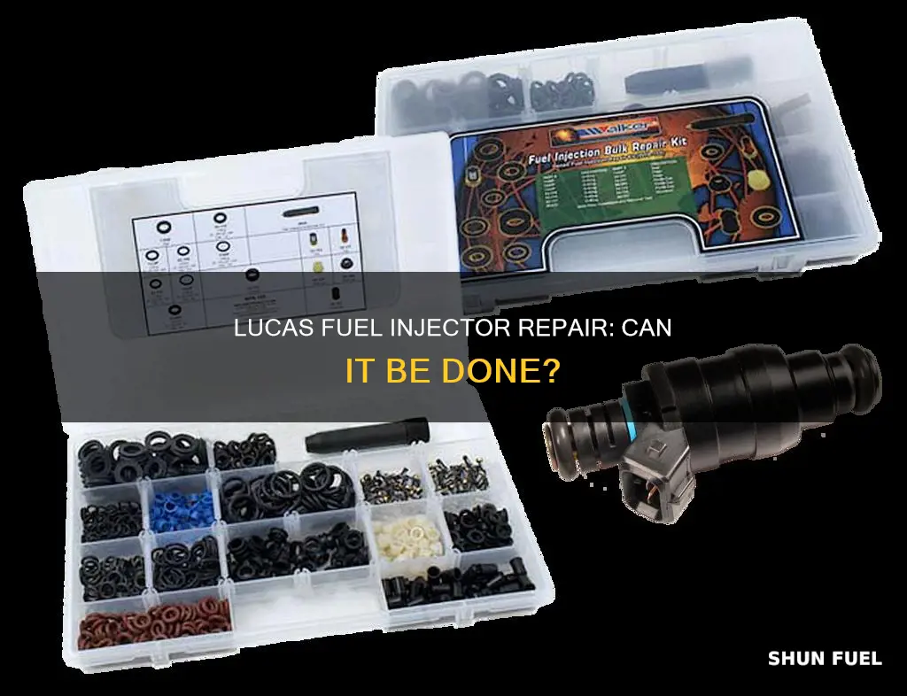 can lucas fix fuel injectors
