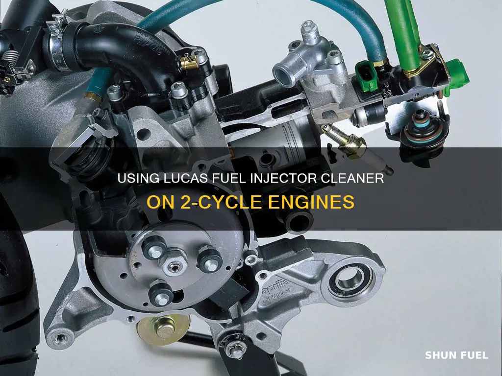 can lucas fuel injector cleaner be used on 2 cycle