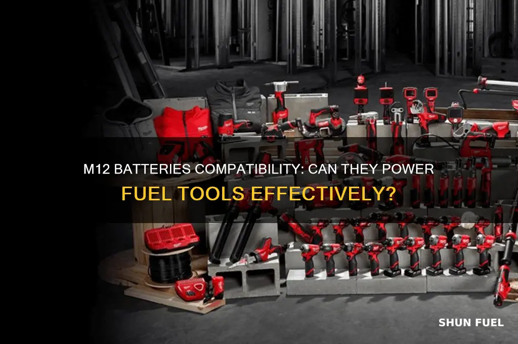 can m12 batteries work in fuel tools
