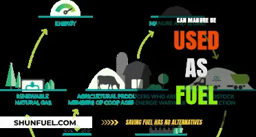 Using Manure as Fuel: Sustainable Energy Source or Just Waste?