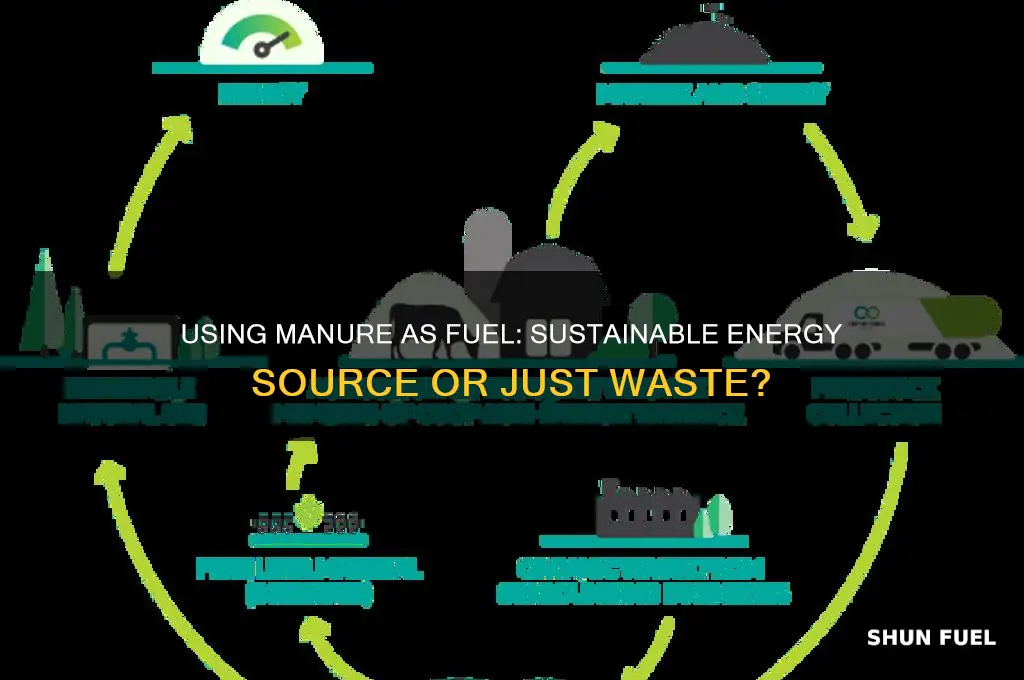 can manure be used as fuel