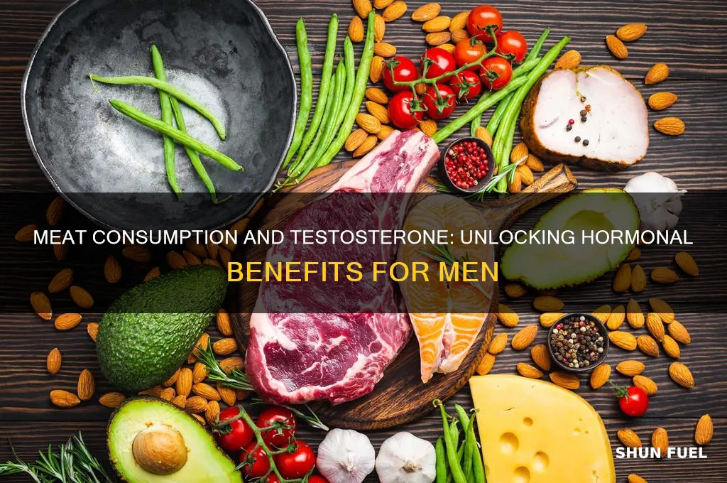 can meat eating fuel testosterone levels