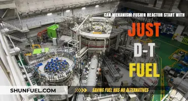 Can Mekanism Fusion Reactors Operate Solely on D-T Fuel?