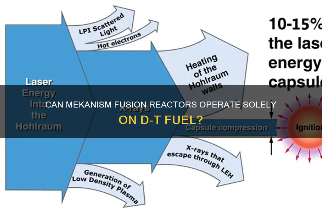 can mekanism fusion reactor start with just d-t fuel