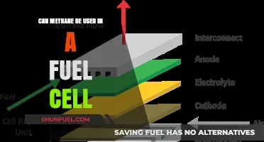 Methane Fuel Cells: A Viable Clean Energy Alternative?