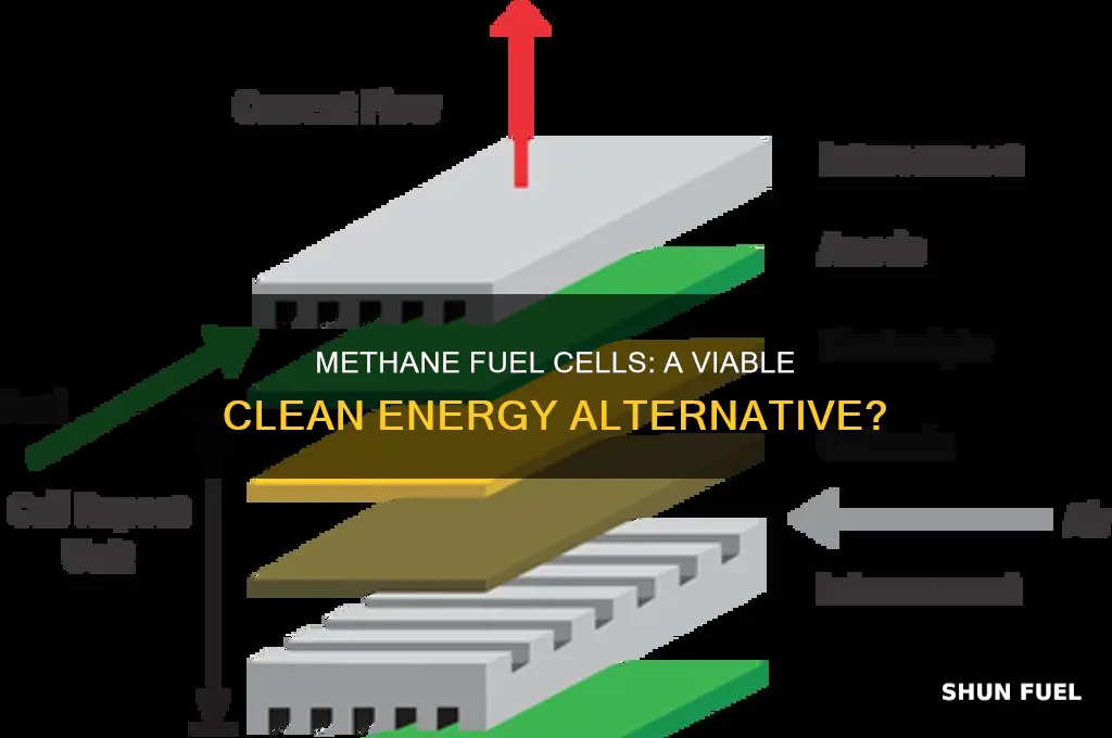 can methane be used in a fuel cell