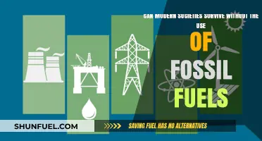 The End of Fossil Fuels: Can Society Survive?