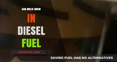 Mold in Diesel: Can It Grow?