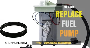 Monro Fuel Pump Replacement: A Comprehensive Guide