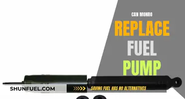 Monro's Fuel Pump Replacement: Is It Worth the Cost?