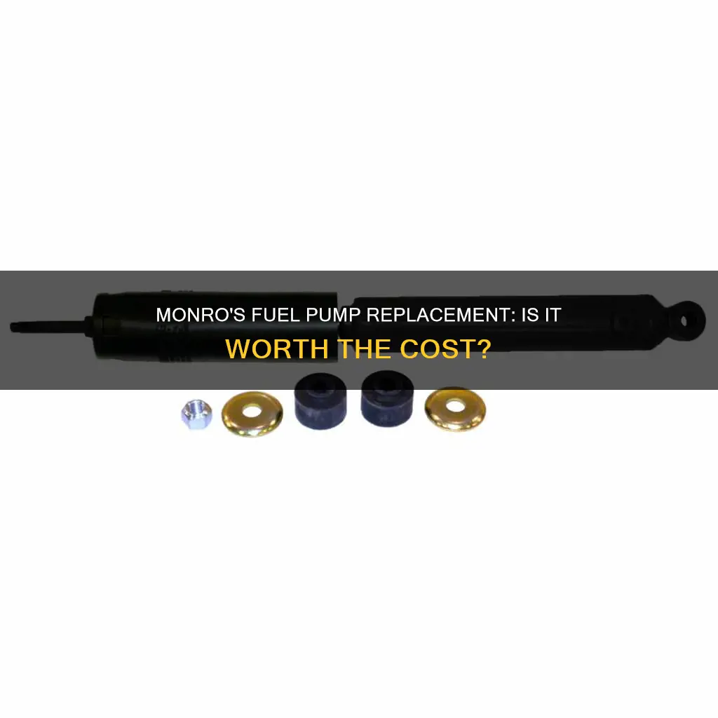 can monro replace fuel pump