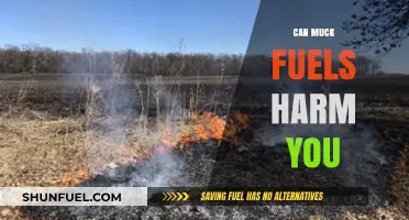 Muck Fuels: Uncovering Potential Health Risks and Safety Concerns