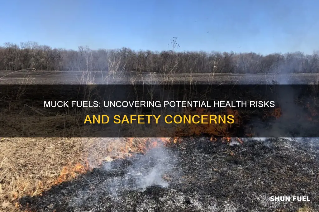 can muck fuels harm you