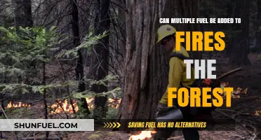 Can Multiple Fuels Intensify Forest Fires? Exploring the Risks and Impacts