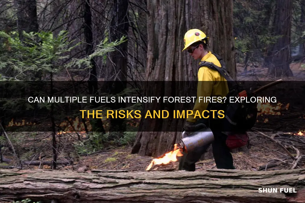 can multiple fuel be added to fires the forest