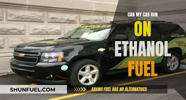 Ethanol Fuel: Can Your Car Run on It?