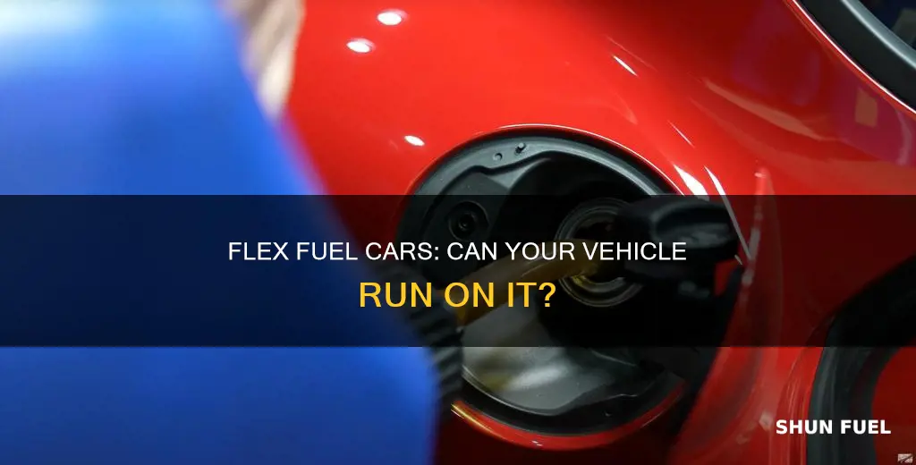 can my car run on flex fuel