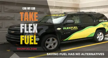 Flex Fuel: Can Your Car Handle the Switch?