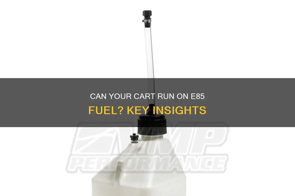 can my cart use e85 fuel
