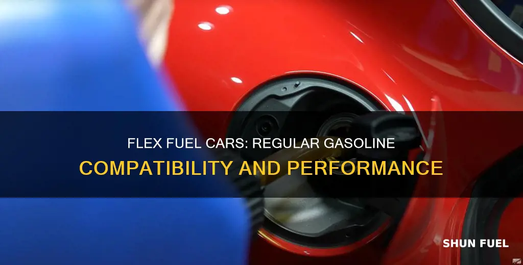 can my flex fuel car use regular gas