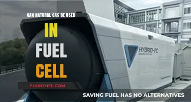Exploring Natural Gas as a Fuel Cell Energy Source: Possibilities and Challenges