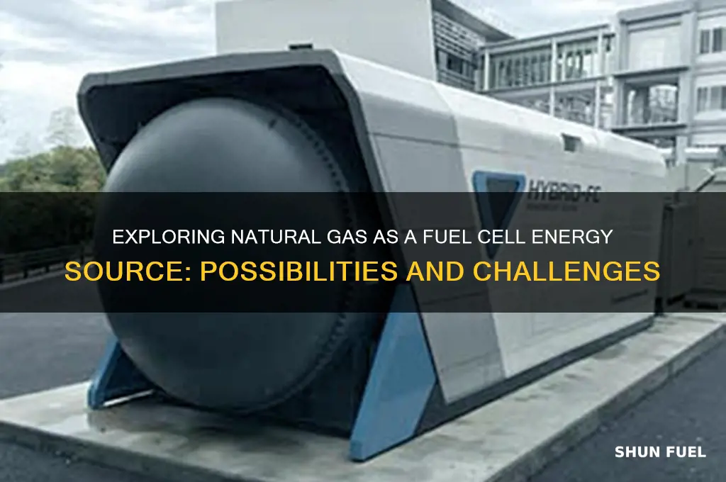 can natural gas be used in fuel cell