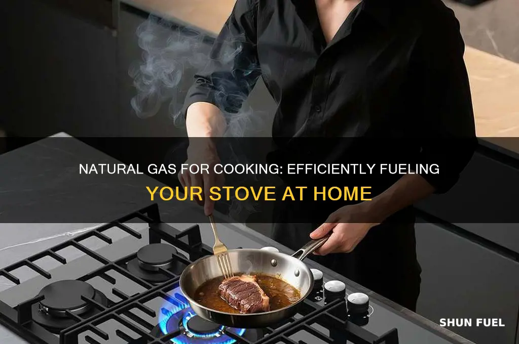 can natural gas fuel a stove