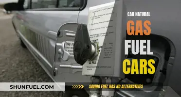 Natural Gas: The Green Alternative for Your Car?