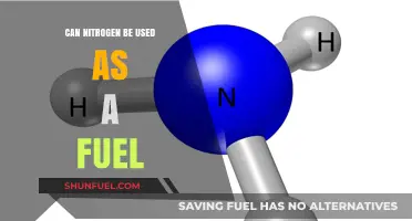 Exploring Nitrogen's Potential: Can It Serve as a Sustainable Fuel Source?