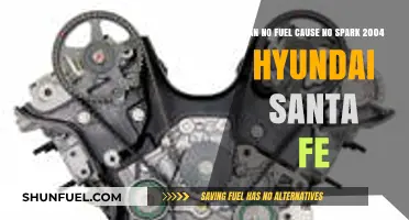 Hyundai Santa Fe 2004: No Fuel, No Spark Connection Explained