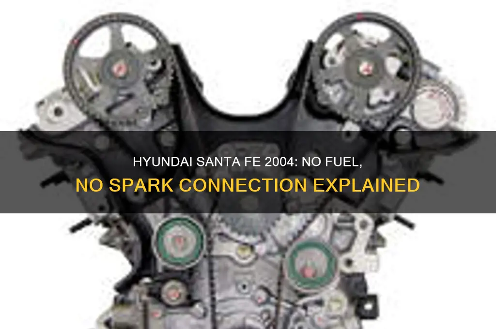 can no fuel cause no spark 2004 hyundai santa fe