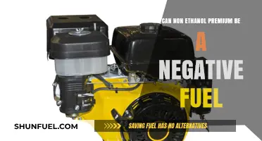 Is Non-Ethanol Premium Fuel Harmful to Your Engine?