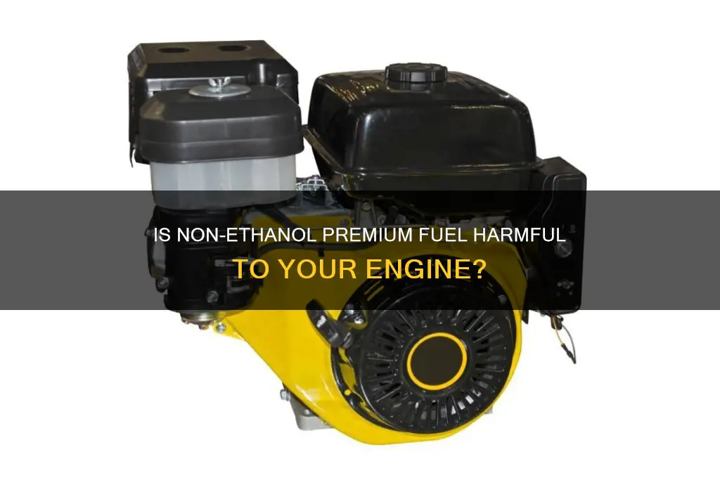 can non ethanol premium be a negative fuel