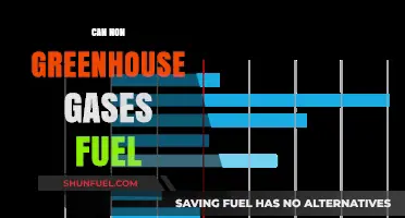 Exploring Non-Greenhouse Gases as Alternative Fuel Sources for a Greener Future