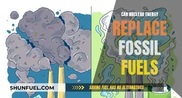 Nuclear Energy: A Viable Alternative to Fossil Fuels?