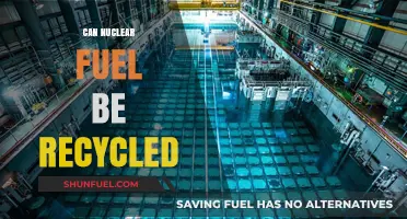 Recycling Nuclear Fuel: A Sustainable Solution for Energy and Waste?
