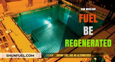 Exploring the Potential of Regenerating Nuclear Fuel for Sustainable Energy